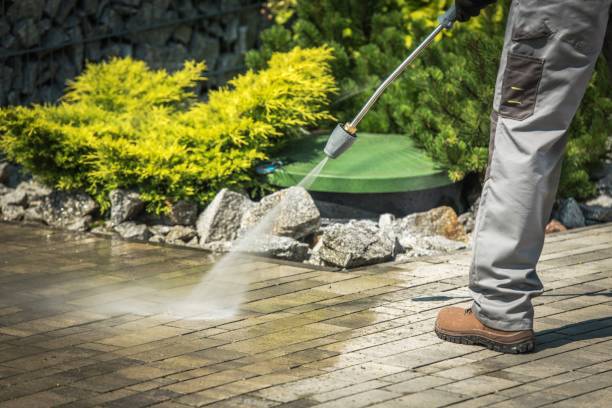 Best Factory Floor Cleaning  in Bosque Farms, NM