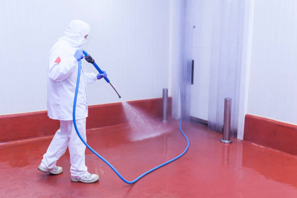 Best Warehouse Cleaning  in Bosque Farms, NM